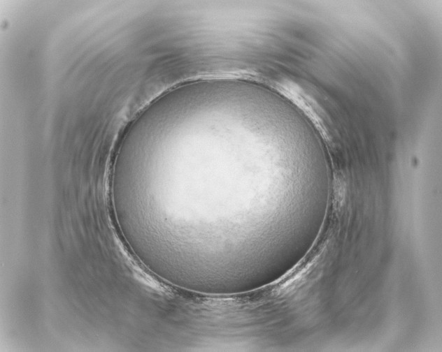 X0000087041477200704250926