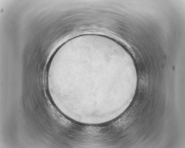 X0000087041514200704250926