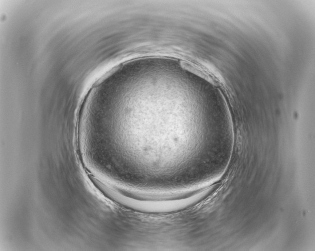 X0000087041528200704250926