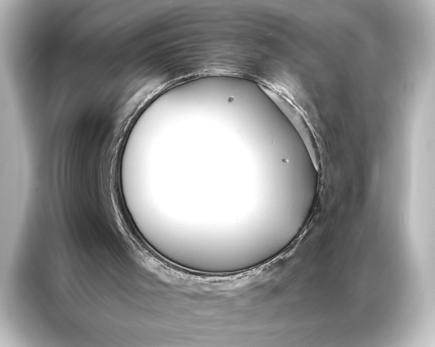 X0000087040001200705021146