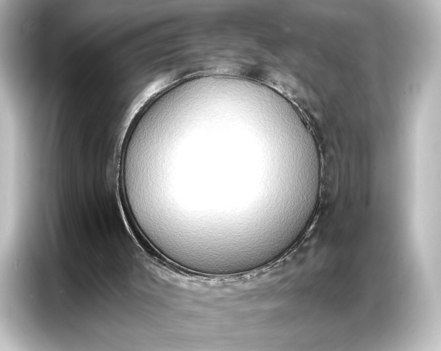 X0000087040003200705021146