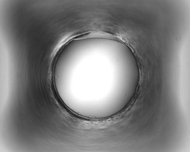 X0000087040005200705021146