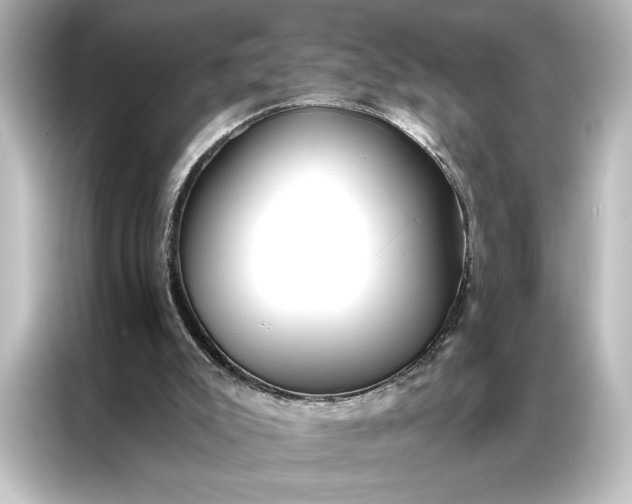 X0000087040007200705021146