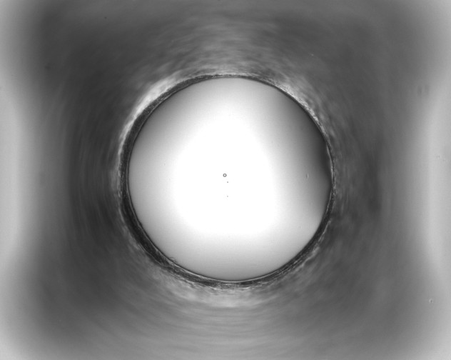 X0000087040008200705021146