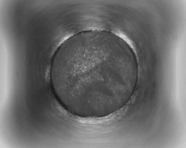 X0000087040009200705021146