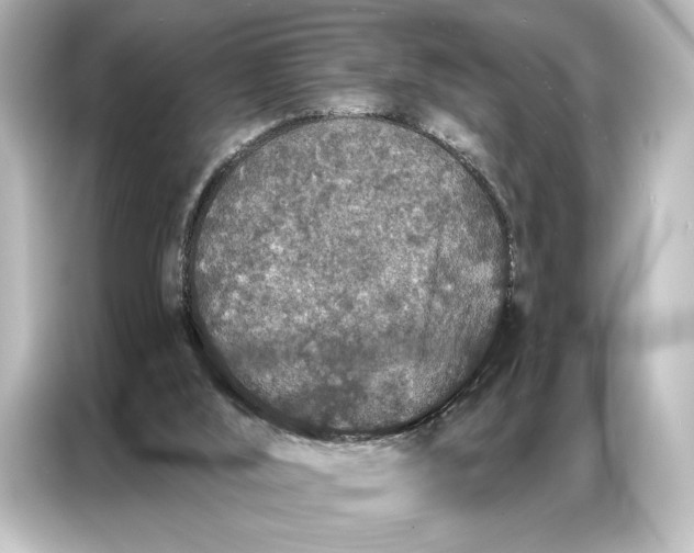 X0000087040012200705021146