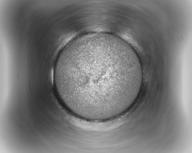 X0000087040014200705021146