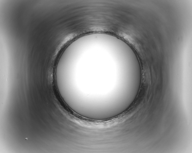 X0000087040015200705021146