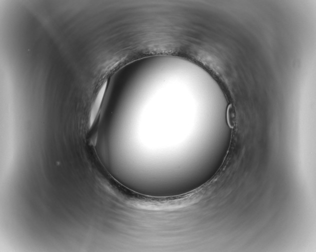 X0000087040017200705021145