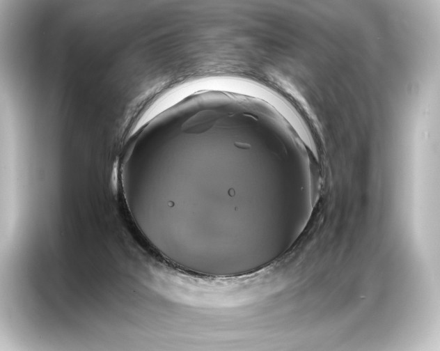 X0000087040019200705021145