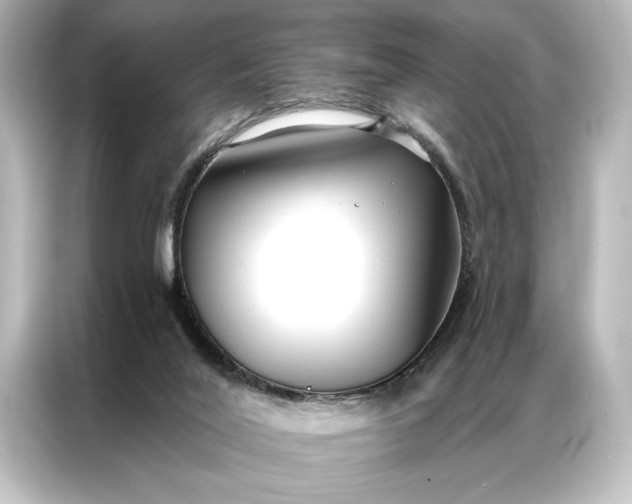 X0000087040020200705021145
