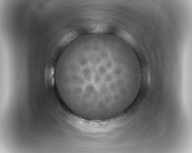 X0000087040022200705021145