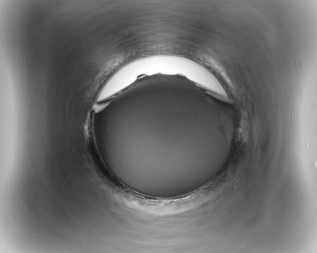 X0000087040023200705021145