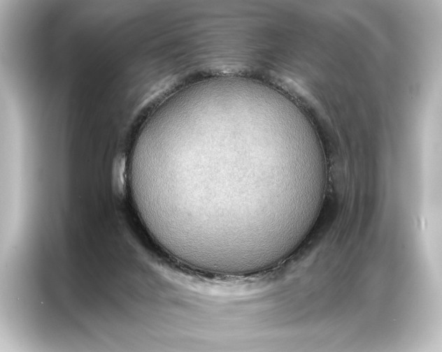 X0000087040024200705021145