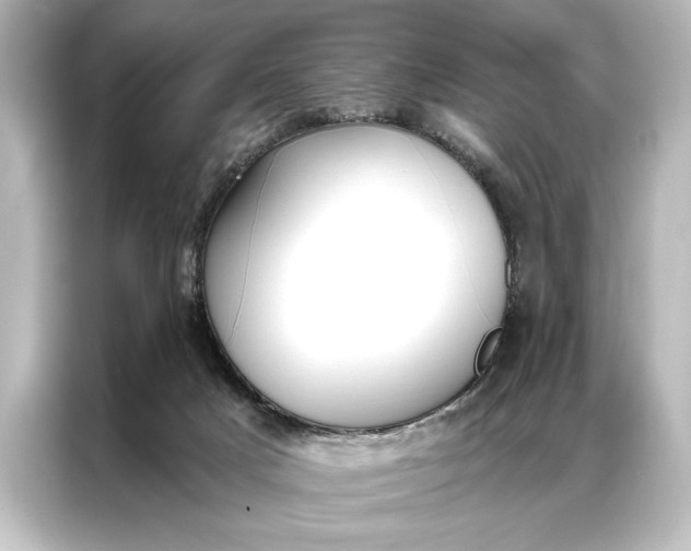 X0000087040025200705021145