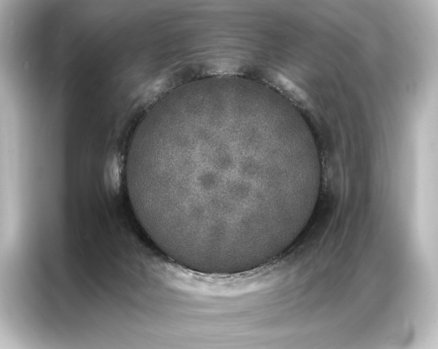 X0000087040026200705021145