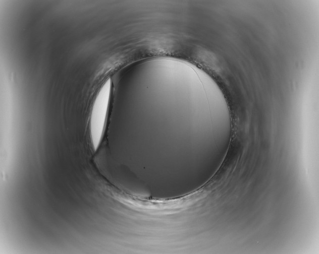 X0000087040027200705021145