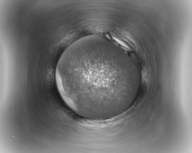X0000087040029200705021145