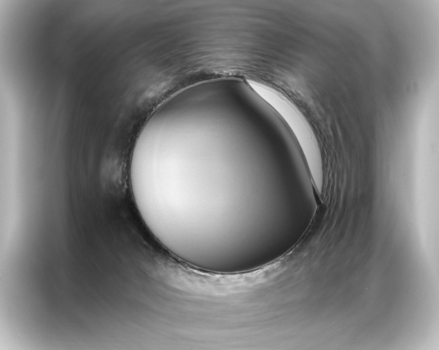 X0000087040031200705021145