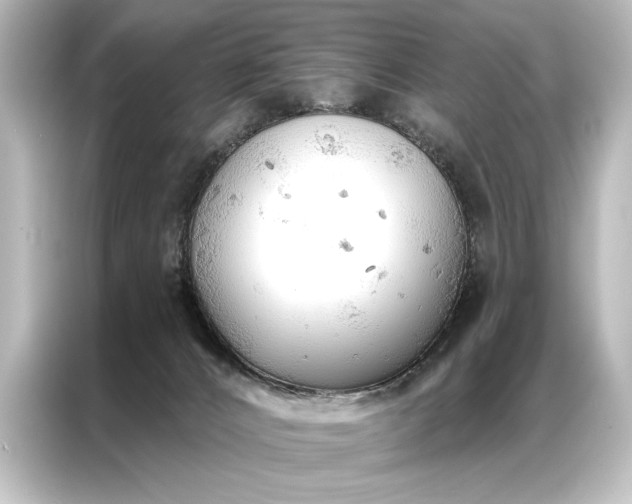 X0000087040032200705021145