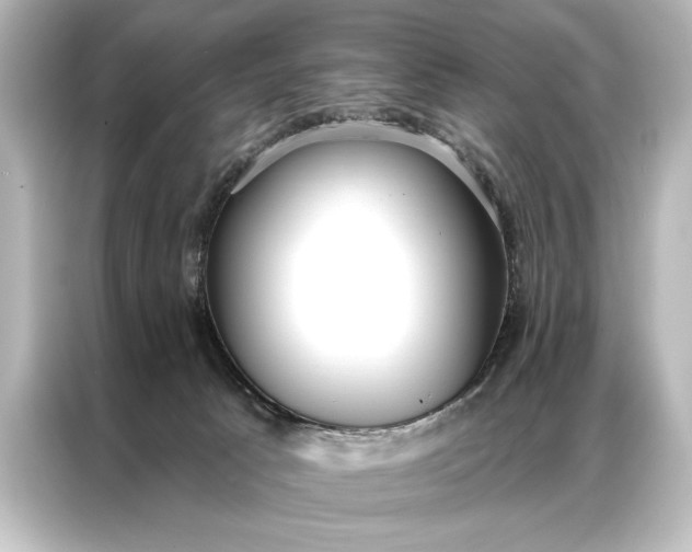 X0000087040033200705021145