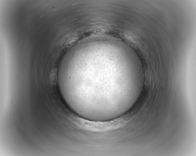 X0000087040034200705021145