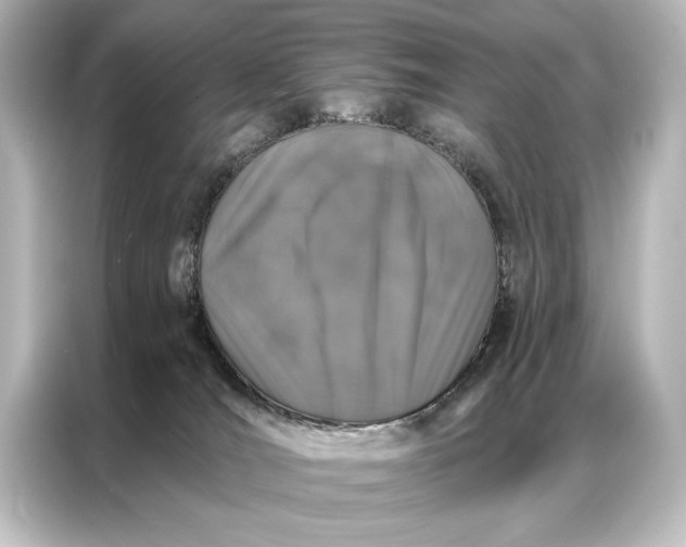 X0000087040036200705021145