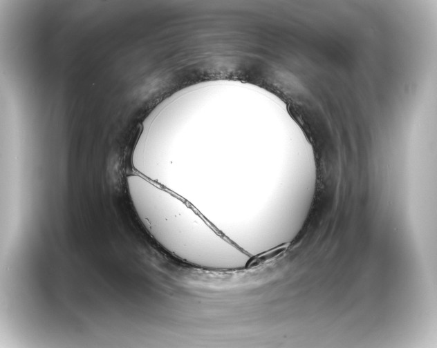 X0000087040037200705021145