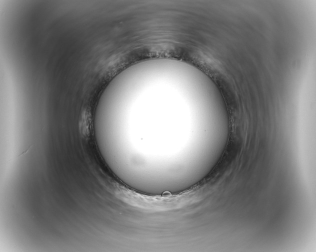 X0000087040038200705021145
