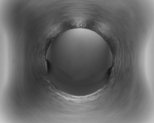 X0000087040039200705021145