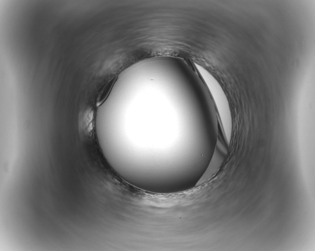 X0000087040041200705021145
