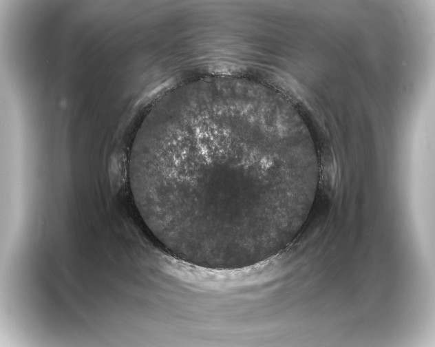 X0000087040043200705021145