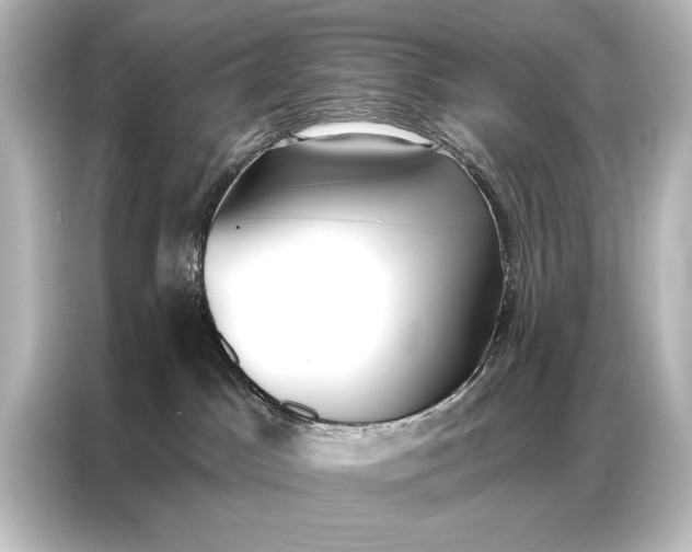 X0000087040045200705021145