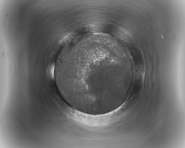 X0000087040047200705021145