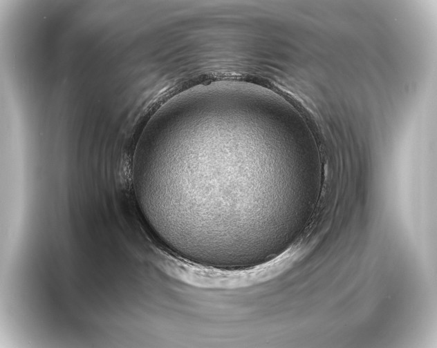 X0000087040048200705021145