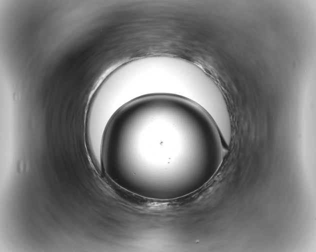 X0000087040052200705021144