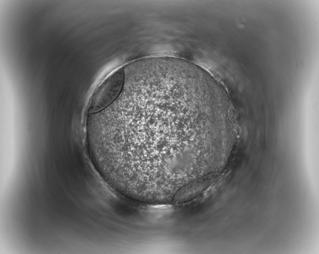 X0000087040053200705021145