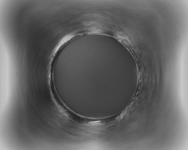 X0000087040054200705021145