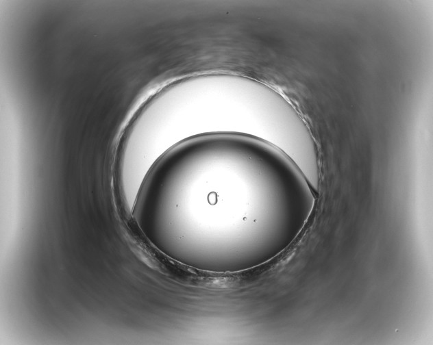 X0000087040056200705021145