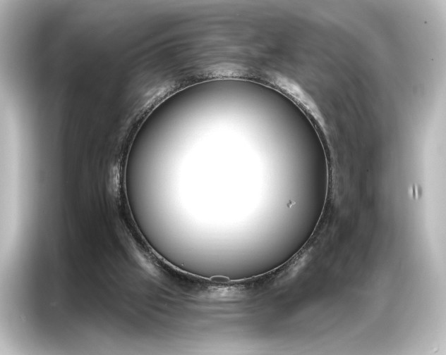 X0000087040057200705021145