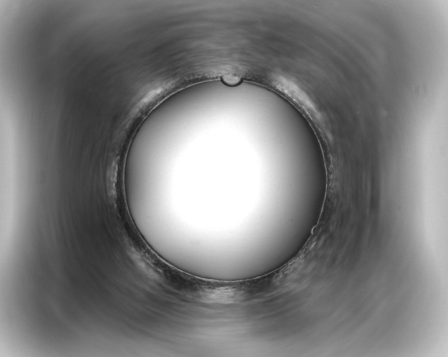 X0000087040058200705021145