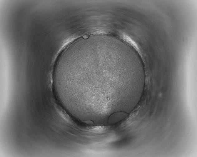 X0000087040059200705021145