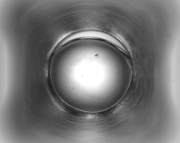 X0000087040060200705021145