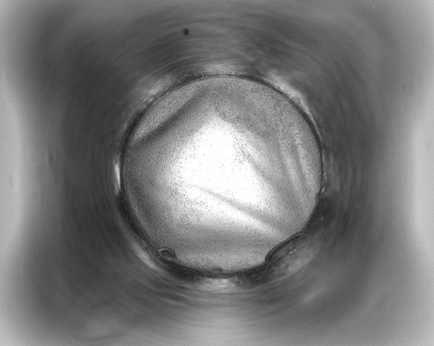 X0000087040061200705021145