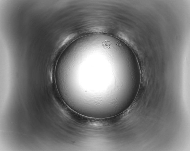 X0000087040062200705021145
