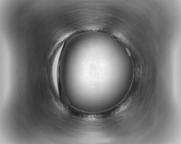 X0000087040064200705021145