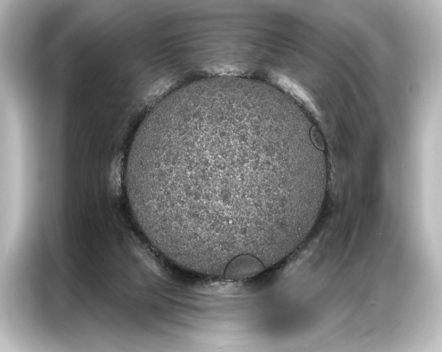 X0000087040065200705021145