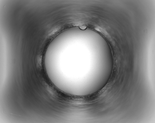 X0000087040066200705021145