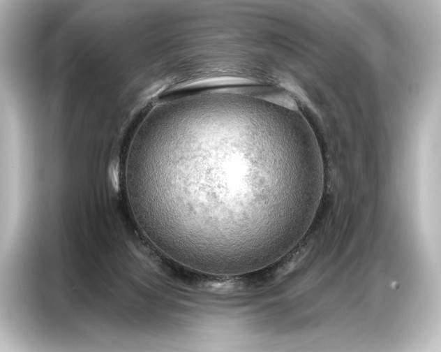 X0000087040068200705021145