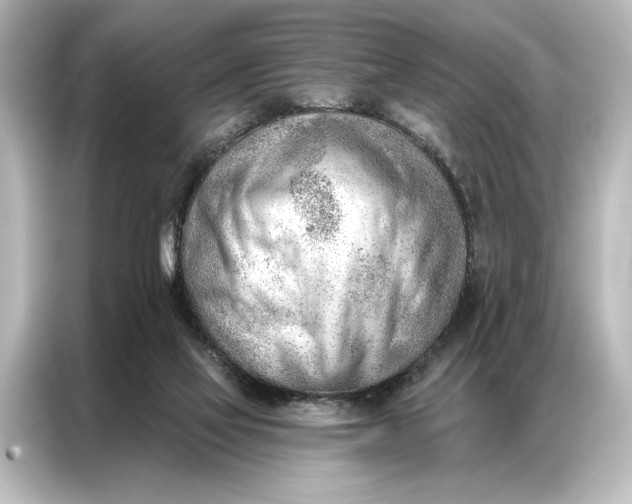 X0000087040069200705021145